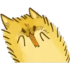 Ĉ