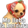 haw @adolfoojose
Me lleba
la berdura