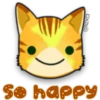Face Cat 17