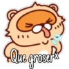 🦝Raccoon  cute🦝🇲 15