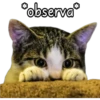 *observa
