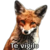 Te vigilo