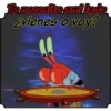 ami lado
Te necesito
¿vienes o voy?
anz: espontaward