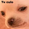 🐕PERRITO TOXICO2🐕 20