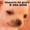 🐕PERRITO TOXICO2🐕 21