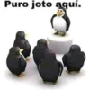Puro joto aquí.