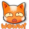 Face Cat 18