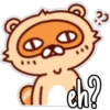 🦝Raccoon  cute🦝🇲 16