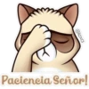 @lexa Paciencia Señor!