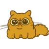 Gatitos bonitos 18