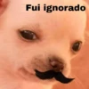 🐕PERRITO TOXICO2🐕 23