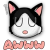 Face Cat 19