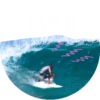Diseñador 5