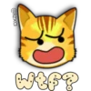 Face Cat 20