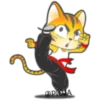Gato ninja 18