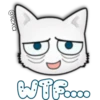 Face Cat 21