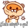 🦝Raccoon  cute🦝🇲 19
