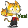 Gato ninja 20