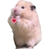 Animales2 15