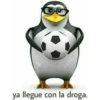 ya llegue con la droga.