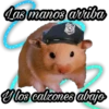 ix Variados 20