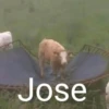 Jose