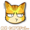 Face Cat 22