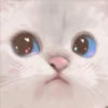 Gatito UwU 29