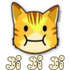 Face Cat 23
