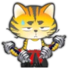 Gato ninja 21