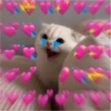 Enviando amor 18
