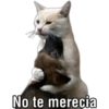 No te merecia