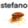 stefano