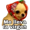 Me lleva
la virgen