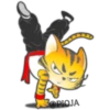 Gato ninja 24
