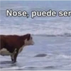 Nose, puede ser