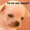 🐕PERRITO TOXICO2🐕 26