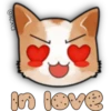 Face Cat 24