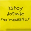 Estoy dormido no molestar