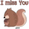 Cute Wild Animals collection 26