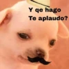 🐕PERRITO TOXICO2🐕 27