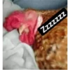 Zzzzzzz