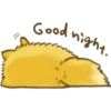 Good
^
night.