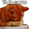 Ya la cague