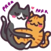 Gatitos bonitos 25