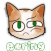 Face Cat 25