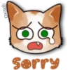 Face Cat 26