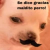 🐕PERRITO TOXICO2🐕 28