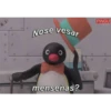 Nose vesar
menseñas?
PINGU