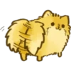 Perrito Pomerania 24